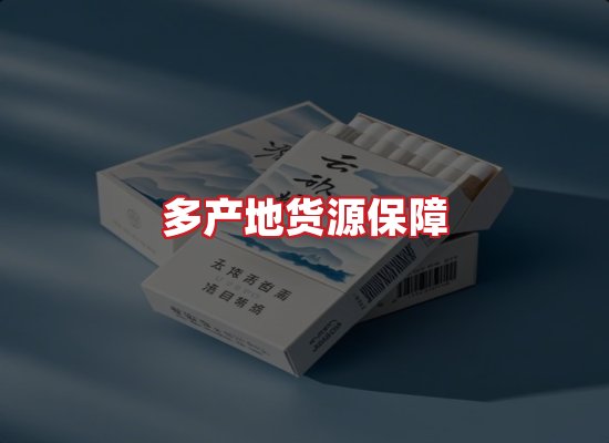 专业团队